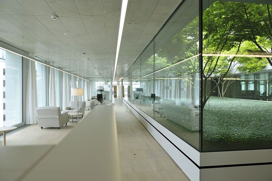 Novartis courtyard hedges