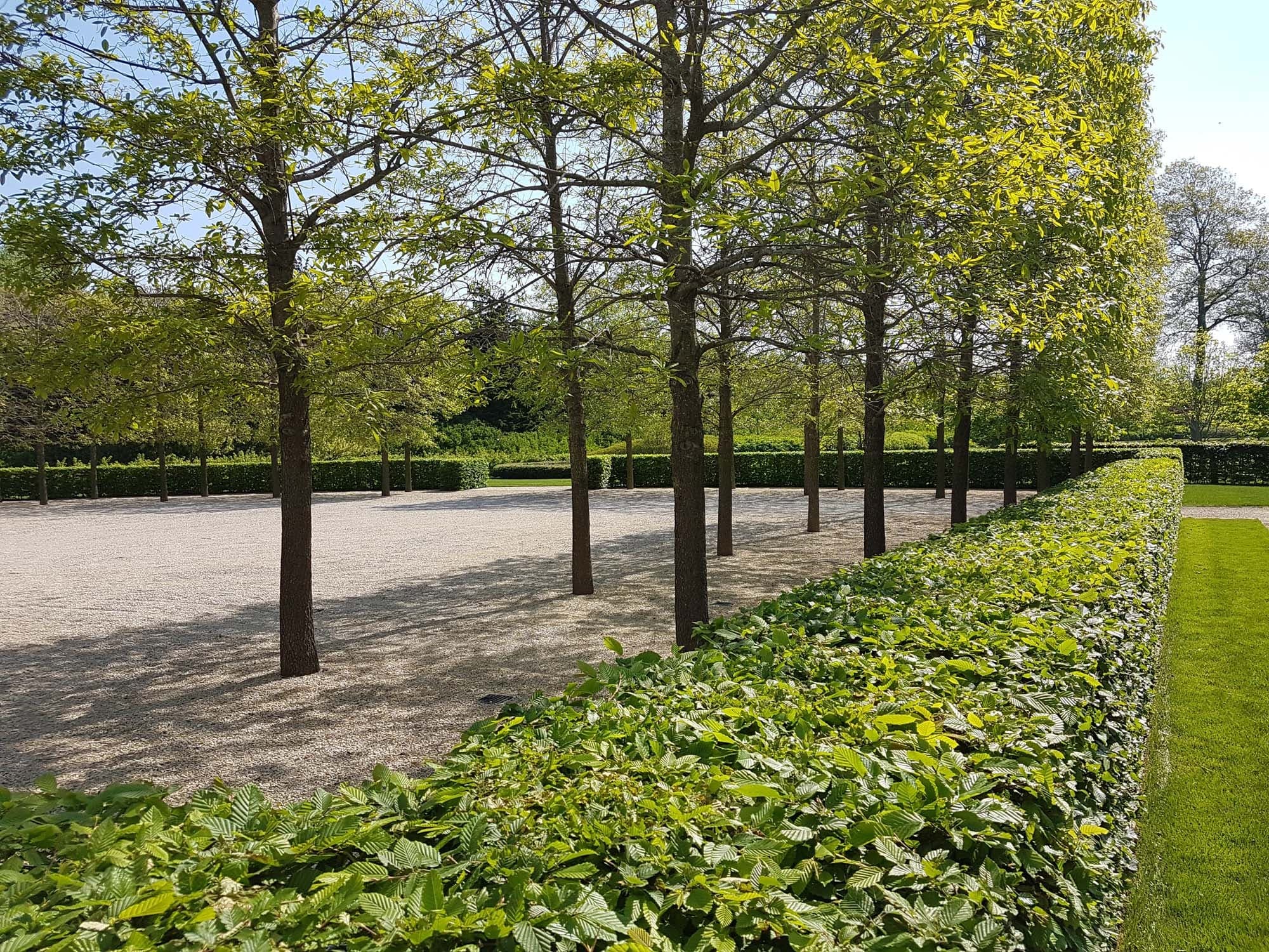 New York garden lawn and borders
