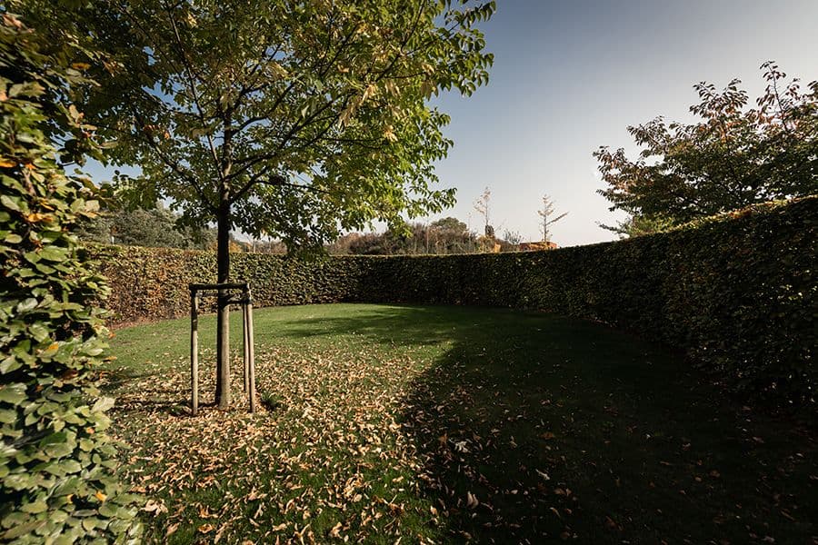 Anco garden view towards building