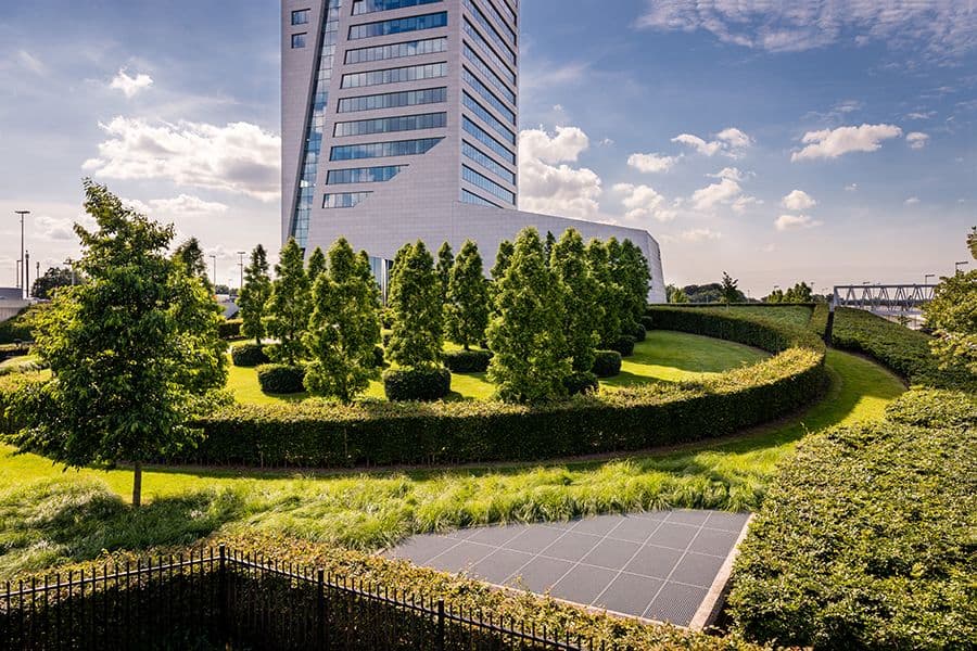 MG Tower green roof overview