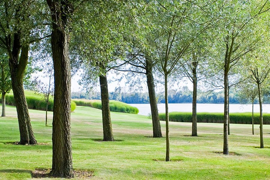 ‘t Kristallijn sculpture path