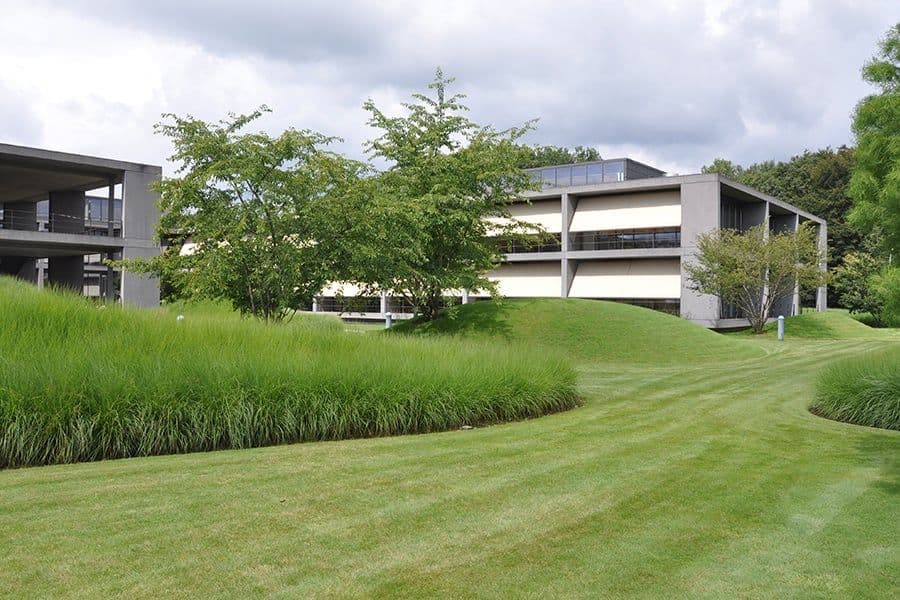 Ernsting's Family Campus lawn and planting