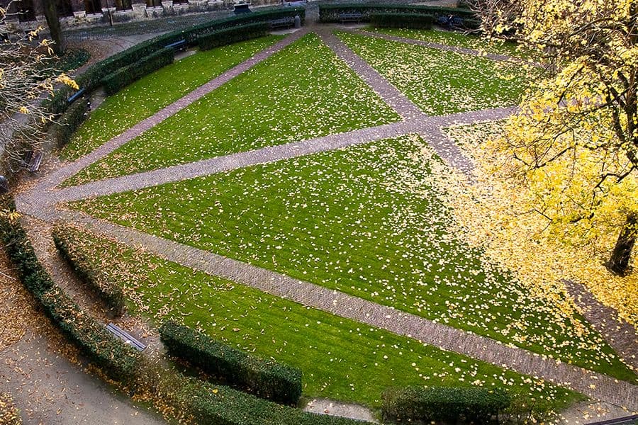 UA City Campus courtyard