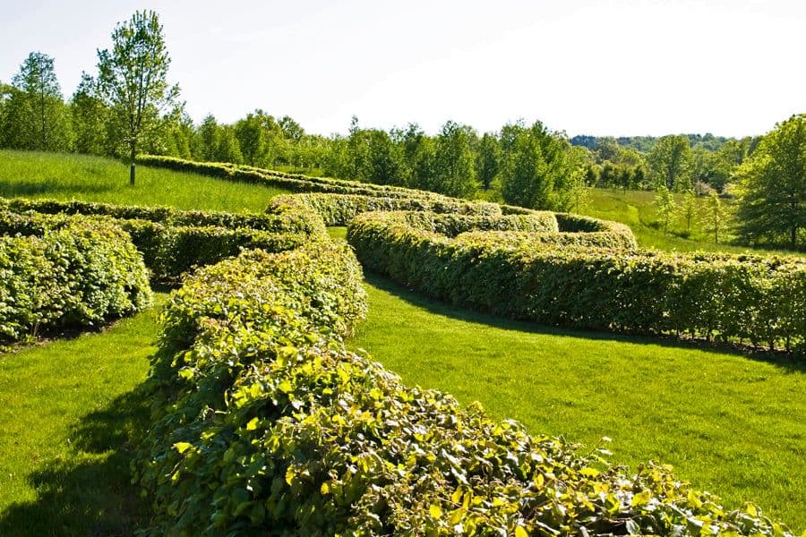 New Jersey garden planting