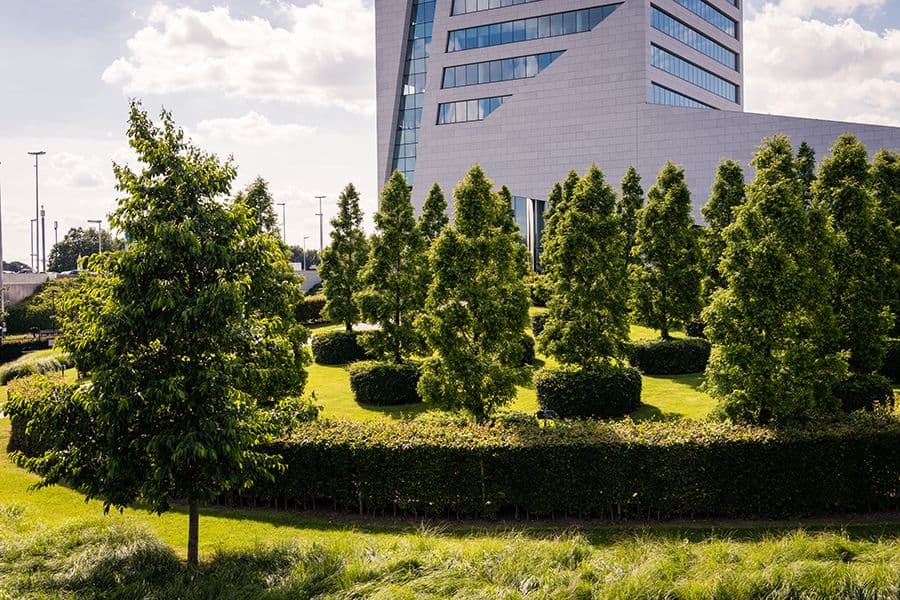 MG Tower garden with building