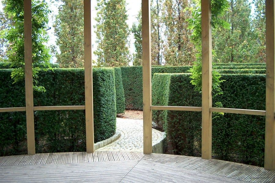 BGL BNP Paribas green courtyard