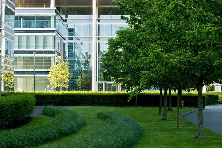 Léopold Square Office Park tree avenue