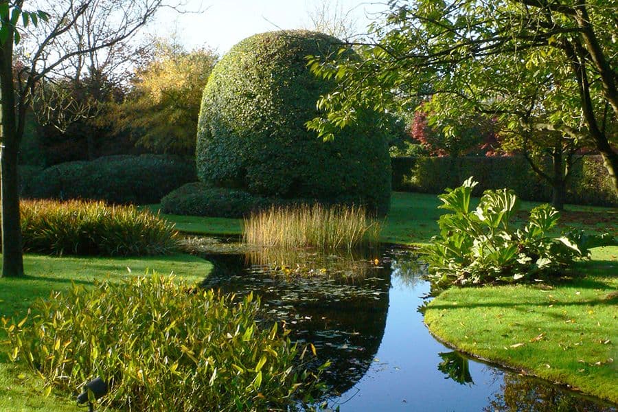 Costermans garden detail