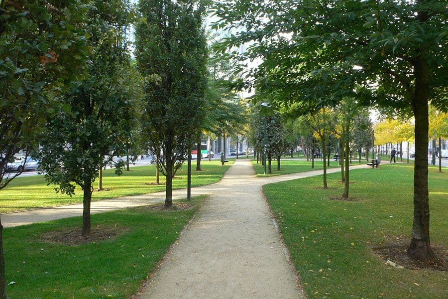 Albert II-laan boulevard overview