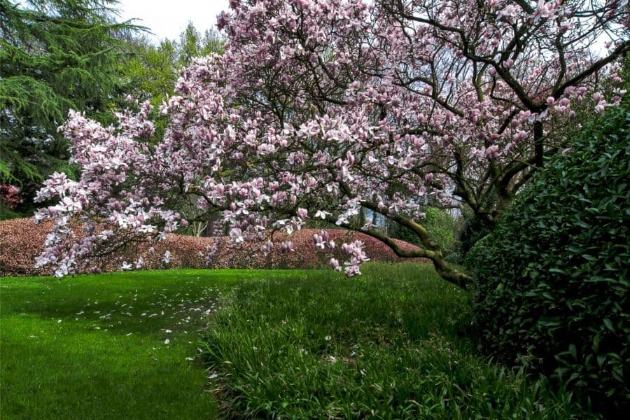 Herbosch garden overview
