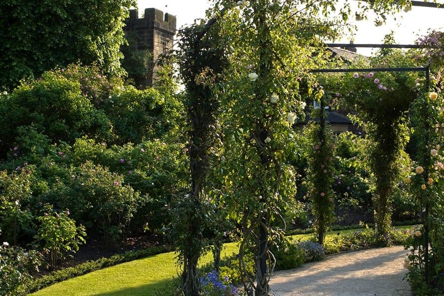 Alnwick Garden overview from elevated position