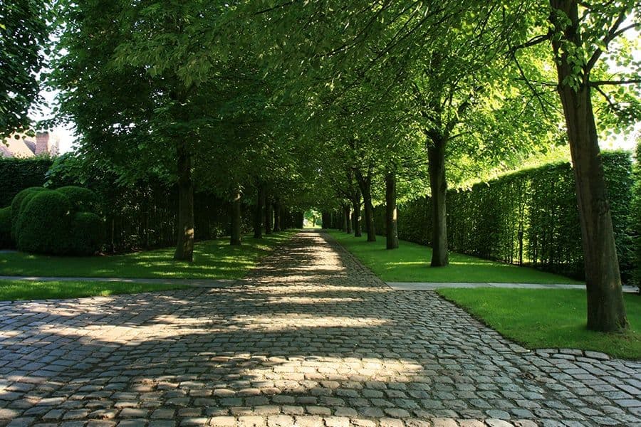 Costermans garden lawn