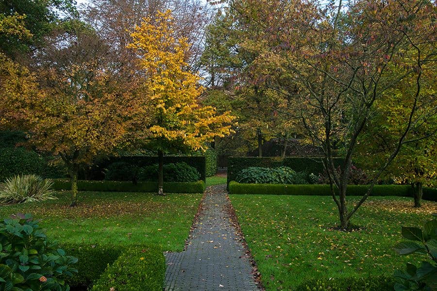 Van den Bergh garden border planting